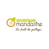 AVENUE MANDARINE